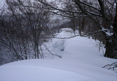 DSC04106.jpg