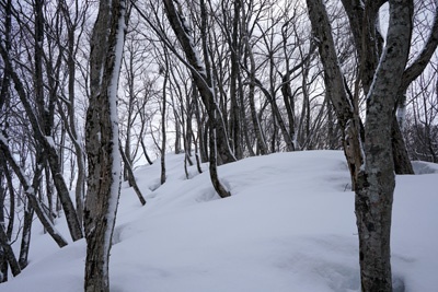 DSC04081.jpg
