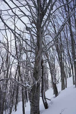 DSC04076.jpg