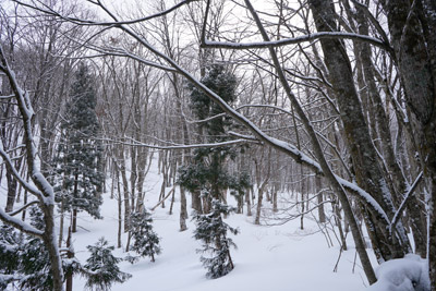 DSC04074.jpg
