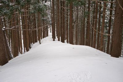DSC04073.jpg