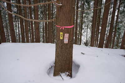 DSC04072.jpg