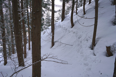 DSC04067.jpg