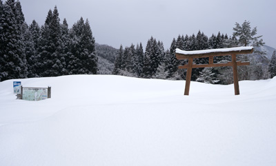 DSC04055.jpg