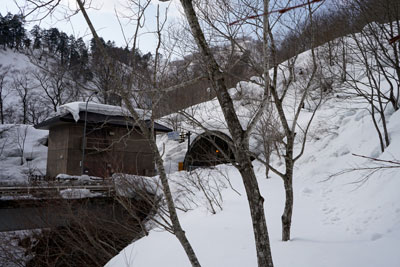 DSC04294.jpg