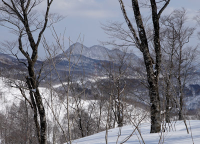 DSC04284.jpg