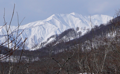 DSC04278.jpg