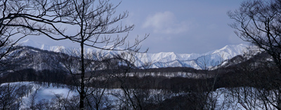 DSC04275.jpg