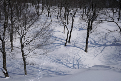 DSC04259.jpg