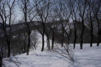 DSC04247.jpg
