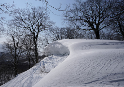 DSC04245.jpg