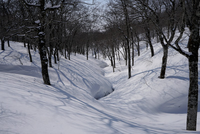 DSC04260.jpg