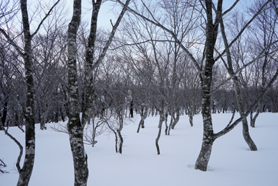 DSC04227.jpg