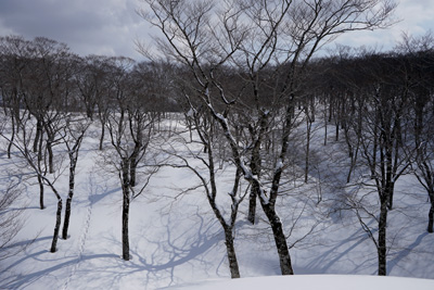 DSC04224.jpg