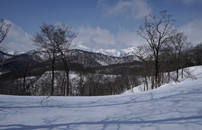 DSC04218.jpg