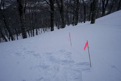 DSC04202.jpg