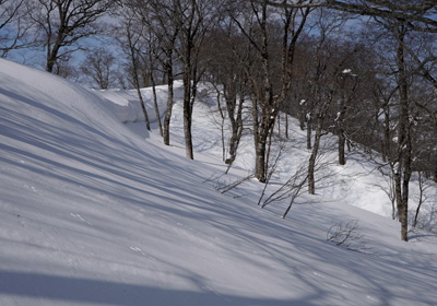 DSC04199.jpg