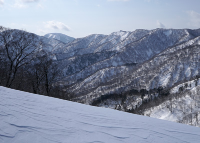 DSC04184.jpg