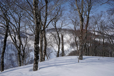 DSC04182.jpg