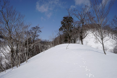 DSC04174.jpg