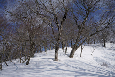 DSC04157.jpg
