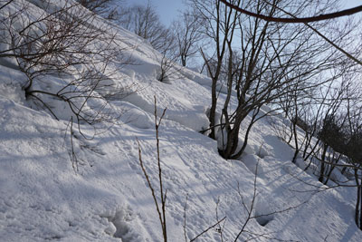 DSC04148.jpg