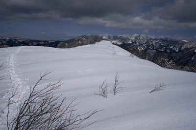 DSC04428.jpg