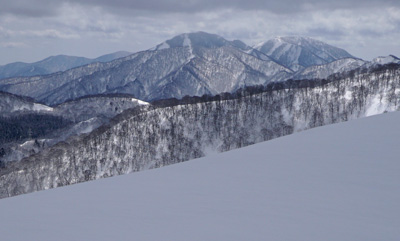 DSC04392.jpg