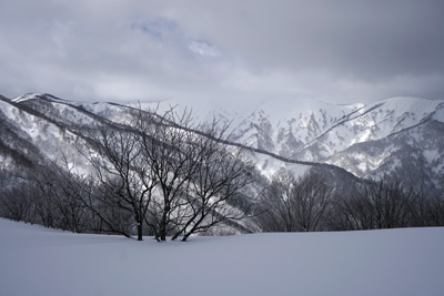 DSC04385.jpg