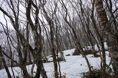 DSC04621.jpg