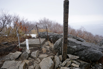 DSC04618.jpg