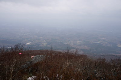 DSC04615.jpg