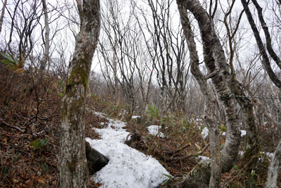 DSC04611.jpg