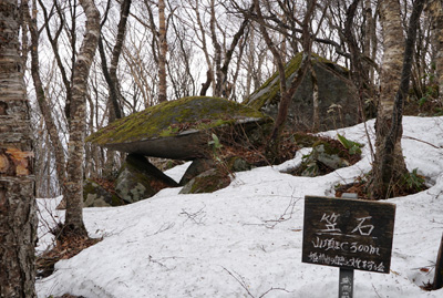 DSC04610.jpg