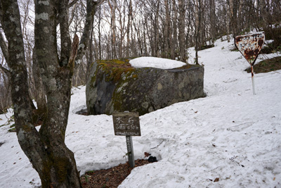 DSC04606.jpg