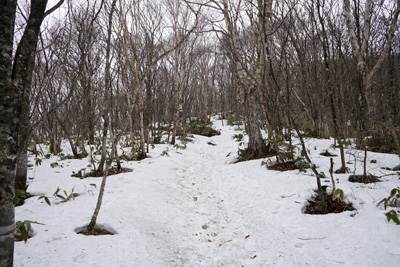 DSC04604.jpg