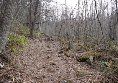 DSC04595.jpg