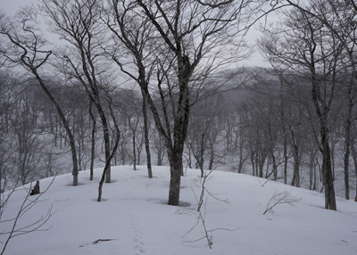 DSC04825.jpg