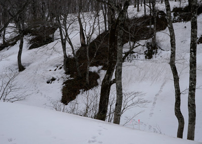 DSC04820.jpg