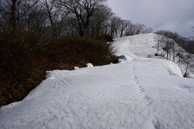 DSC04815.jpg