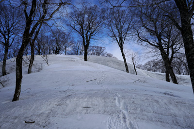 DSC04812.jpg