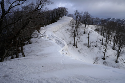 DSC04810.jpg