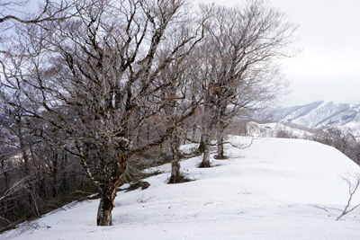DSC04807.jpg