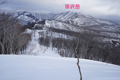 DSC04804.jpg