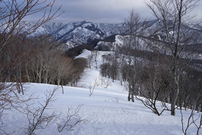 DSC04802.jpg