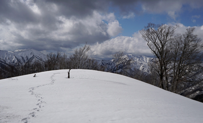 DSC04775.jpg