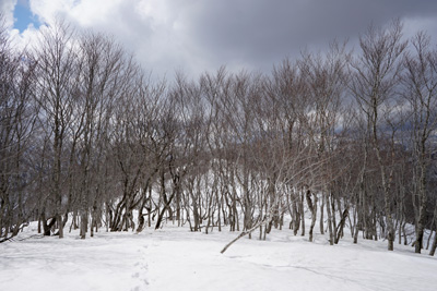 DSC04768.jpg