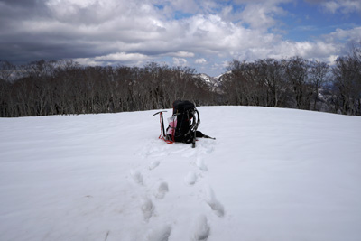 DSC04764.jpg
