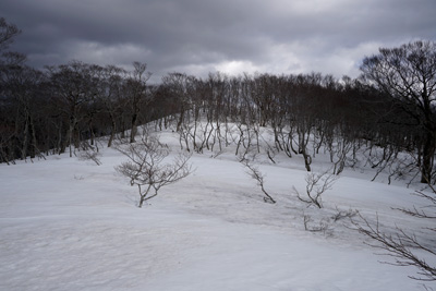DSC04762.jpg