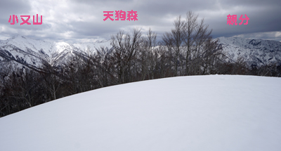 DSC04753.jpg